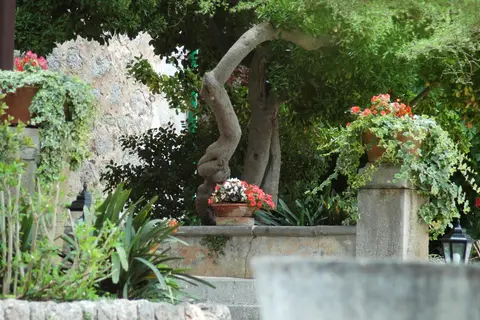 Hotel Es Port in Sóller — foto 17