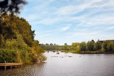 Center Parcs Parc Sandur foto 23