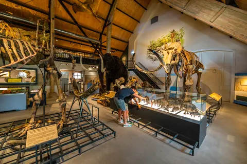 Vakantiepark Poort Van Zeeland foto 4