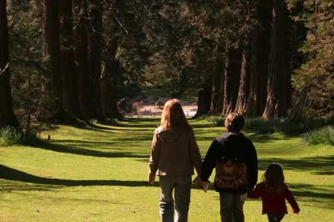 Recreatieoord Wilhelm Tell foto 28