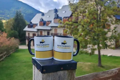 Apartaments Pleta Bona in Pyreneeën — foto 2