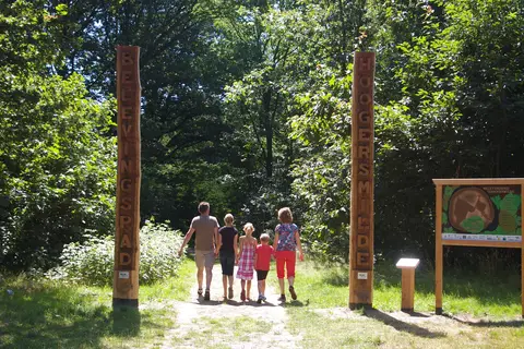 Camping De Reeënwissel in Hoogersmilde — foto 37
