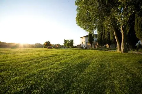 Villa Campestri Olive Oil Resort in Vicchio, foto 14