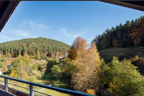 Hotel Schwarzwaldhof foto 25