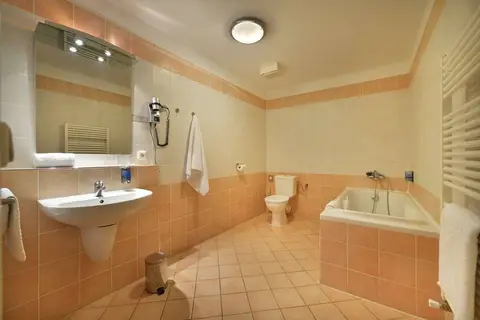 EA Hotel Tosca in Praag, foto 13