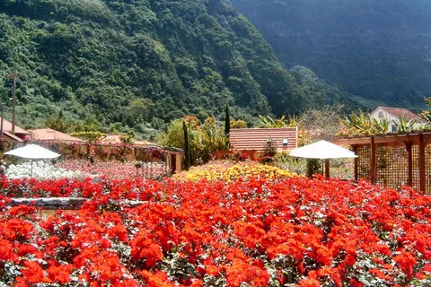 Pestana Quinta do Arco Nature & Rose Garden in Santana — foto 6