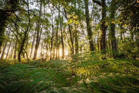 Camping Les Goélands foto 17