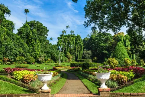 Rondreis Hoogtepunten van Sri Lanka in Rondreizen Sri Lanka — foto 9