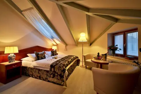 Hotel Carlton Prague in Praag, foto 6