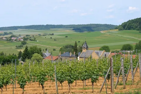 Camping La Colline foto 13