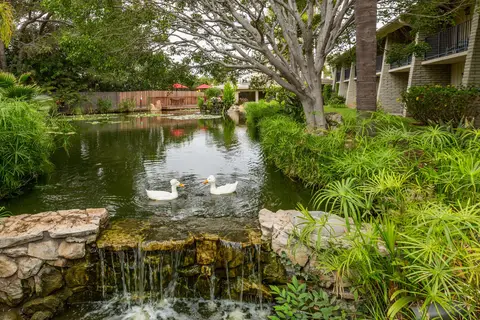 Ramada by Wyndham Santa Barbara in Santa Barbara — foto 22