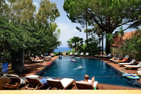 Alberi del Paradiso in Cefalu — foto 8
