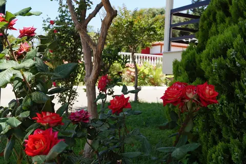 Brati - Arcoudi Hotel in Δήμος Ιθάκης — foto 22