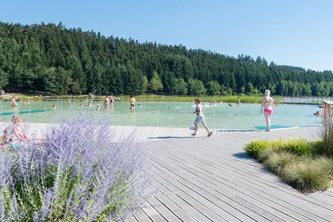 Le Lac Des Sapins in Cublize