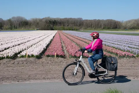 Fietscruise voorjaarstour tulpen en Nederlands erfgoed met De Nassau foto 3