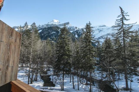 Hotel Les Sources in Ormont-Dessus — foto 7