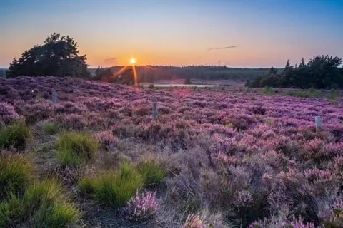 Bed and Breakfast Het Vinkenest foto 26