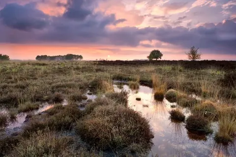 Grand Café Hotel Karsten foto 25