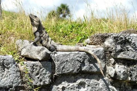 12 daagse fly drive Hoogtepunten van Mexico in Bacalar — foto 4