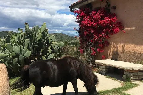 Borgo di Campagna in Poltu San Pàulu/Porto San Paolo, foto 9