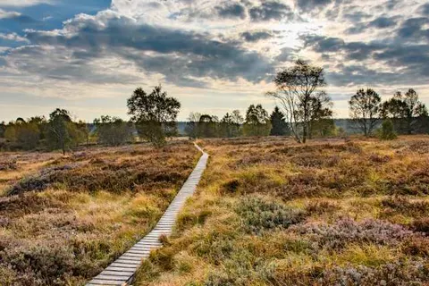 Domaine Moulin d&ampapos;Hotton foto 12