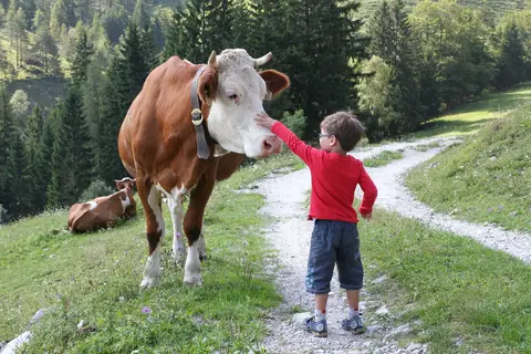 Appartementen Resort Tirol Brixen am Sonnenplateau in Brixen im Thale — foto 22