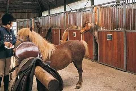 Vakantieoord de Bronzen Emmer foto 13