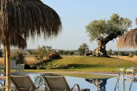 Can Canals Finca Hotel & Spa in Campos — foto 16