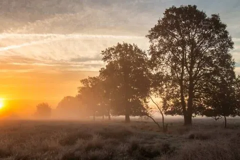 Bed and Breakfast De Beddestee foto 14