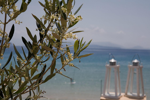 Aparthotel Grand Nefeli foto 6