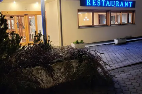 Hotel Miage in Charvensod, foto 9
