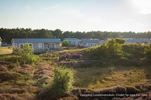 Loodsmansduin in Den Hoorn — foto 23