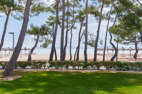 Lime Playa de Alcudia in Alcúdia — foto 4