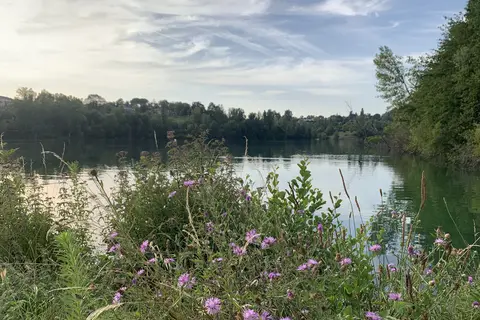 Vakantiepark Hameaux Des Lacs in Monclar-de-Quercy — foto 11