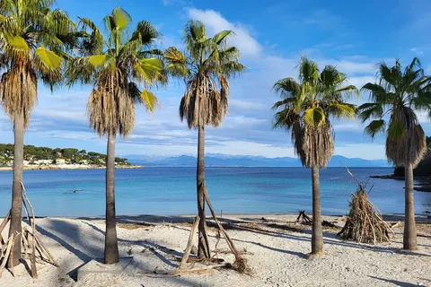 Zuid-Franse charme aan de Côte d'Azur (6 dagen) foto 14