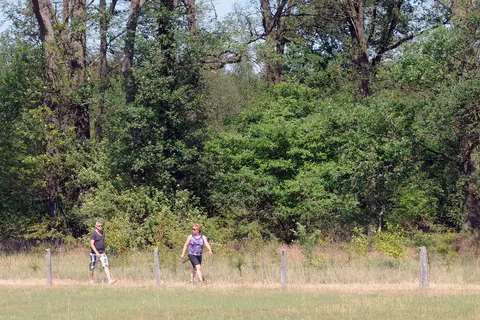 Camping Dal Van De Mosbeek foto 12