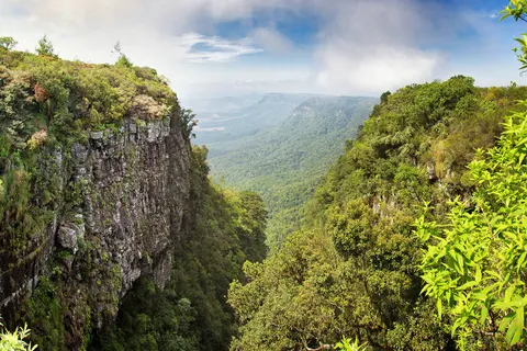 A Wildlife Adventure in South Africa foto 2