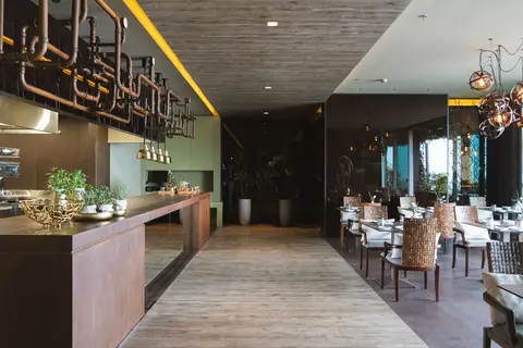 Saccharum in Porto Santo — foto 12