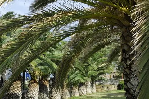 Minos Mare Royal in Rethimnon — foto 30