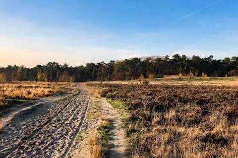 Luxexcellent foto 17