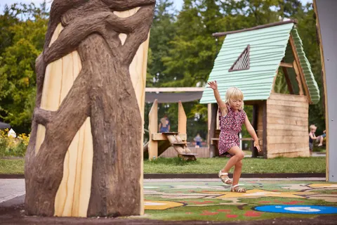 Camping Rcn De Roggeberg foto 14