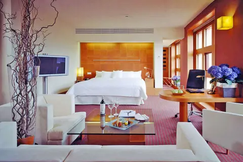 Melia Bilbao in Bilbao — foto 23