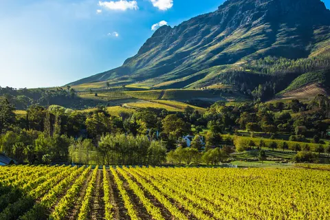 The Ultimate South Africa Experience foto 3