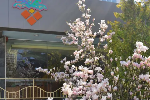 Hotel Malibu in Златни пясъци — foto 15