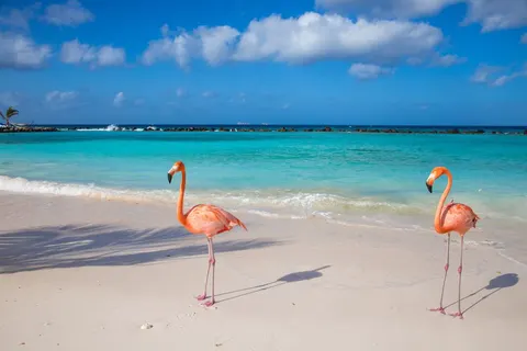 Cruise Curaçao en Caribische Parels incl. verlenging 5* All Inclusive hotel in Willemstad — foto 3