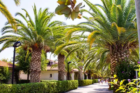 Villaggio Lido d'Abruzzo in Roseto degli Abruzzi — foto 6