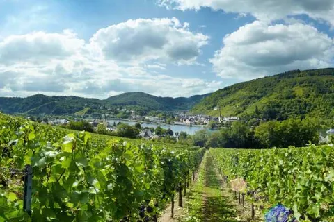 Ringhotel Bömers Mosel Landhotel foto 21
