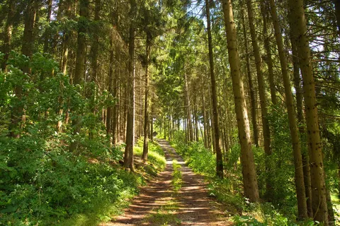 Duitsland en Tsjechië foto 13