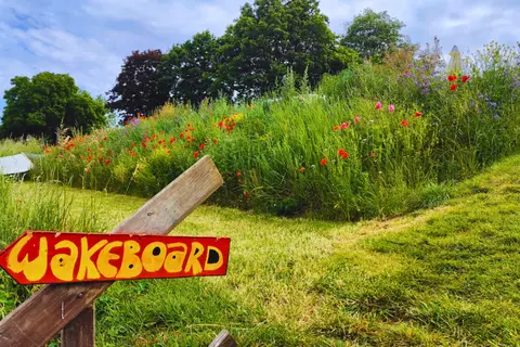 Camping De Boomgaard in Maaseik, foto 3