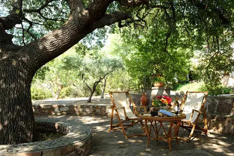 Delfinia Hotel & Bungalows in Μόλυβος — foto 18